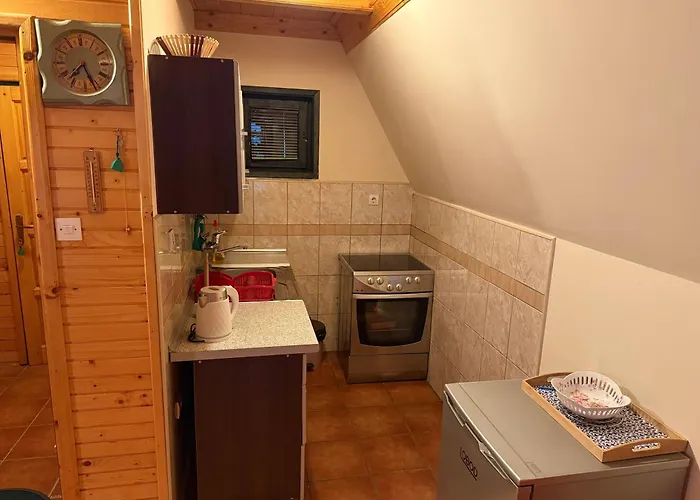 Vila Jela Zabljak